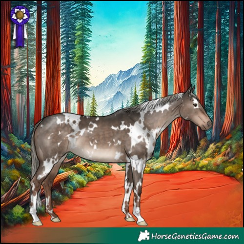 Horse Color:White Spotted Liver Red Dun Mushroom 