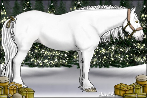 Horse Color:Gray Gold Champagne