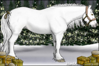 Horse Color:Gray Gold Champagne 