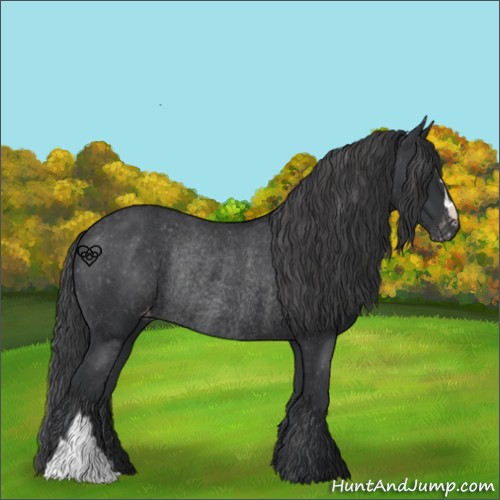 Horse Color:Black Varnish Rabicano 