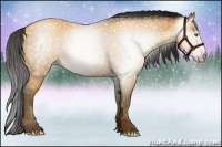 Horse Color:Gray Amber Cream Champagne