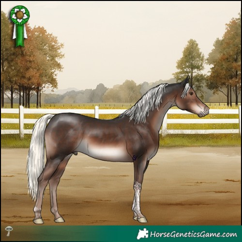 Horse Color:Liver Chestnut Mushroom Tobiano 