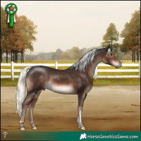 Horse Color:Liver Chestnut Mushroom Tobiano 