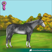 Horse Color:Silver Black Chinchilla 