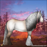 Horse Color:Gray Amber Champagne 