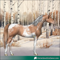 Horse Color:Gold Champagne Tobiano Rabicano 