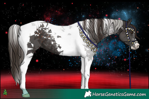 Horse Color:Liver Chestnut Tobiano 