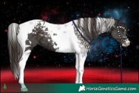 Horse Color:Liver Chestnut Tobiano 
