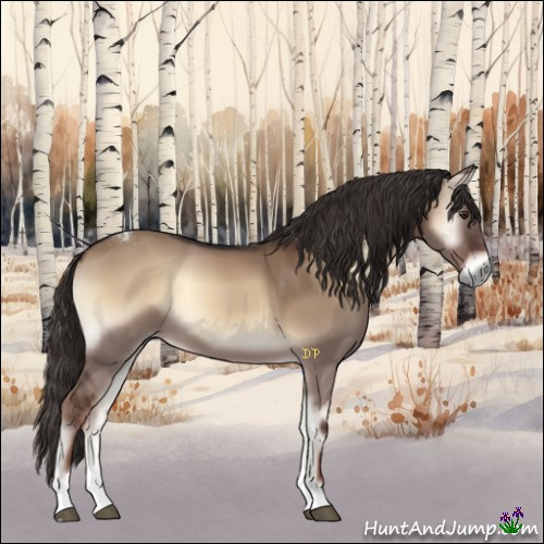 Horse Color:Liver Red Dun Onyx Tobiano 