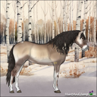 Horse Color:Liver Red Dun Onyx Tobiano 