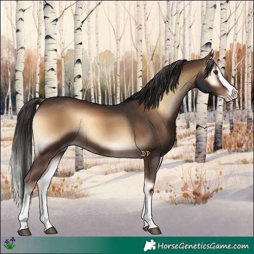 Horse Color:Liver Red Onyx Splash 