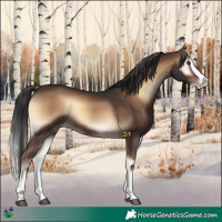 Horse Color:Liver Red Onyx Splash 