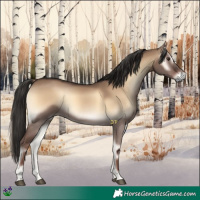 Horse Color:Liver Red Dun Onyx 