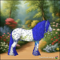 Horse Color:Watercolor White Spotted Bay Appaloosa 