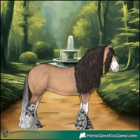 Horse Color:White Spotted Bay Dun Splash 