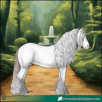 Horse Color:Grullo Tobiano Appaloosa Rabicano 