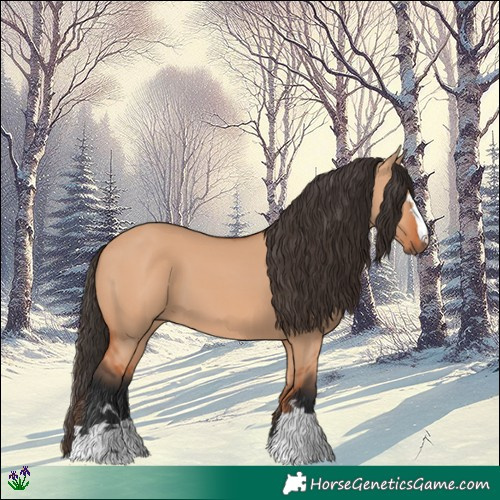 Horse Color:Bay Dun 