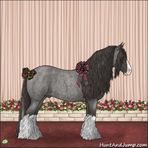 Horse Color:Smoky Blue Roan Splash