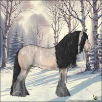 Horse Color:Bay Ice Dun Rabicano 