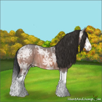 Horse Color:Bay Ice Roan Splash 
