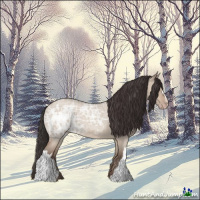 Horse Color:Classic Champagne Ice Roan Dun 