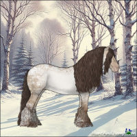 Horse Color:Classic Champagne Ice Dun 