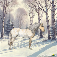 Horse Color:Silver Buckskin Ice Roan Dun 