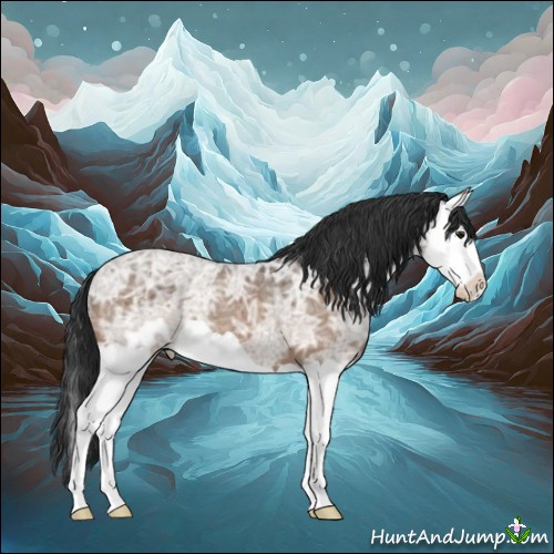 Horse Color:Brown Ice Dun Splash 