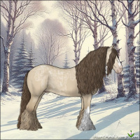 Horse Color:Classic Cream Champagne Ice Dun 