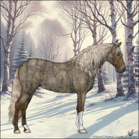 Horse Color:Palomino Ice Roan Dun 