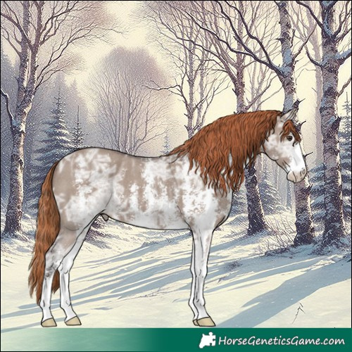 Horse Color:Liver Red Dun Ice Sabino 