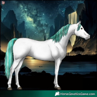 Horse Color:Gray Painted Bay