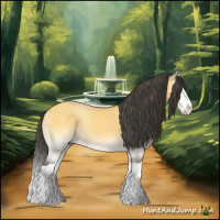 Horse Color:Buckskin Onyx Splash 