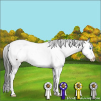 Horse Color:Liver Chestnut Sabino Splash Tobiano Appaloosa 