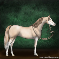 Horse Color:Gold Champagne Pearl Rabicano  and Gold Champagne Pearl Splash Rabicano 
