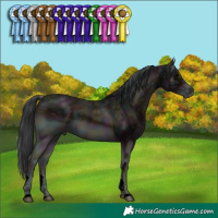 Horse Color:ERROR: UNKNOWN ANOMALY