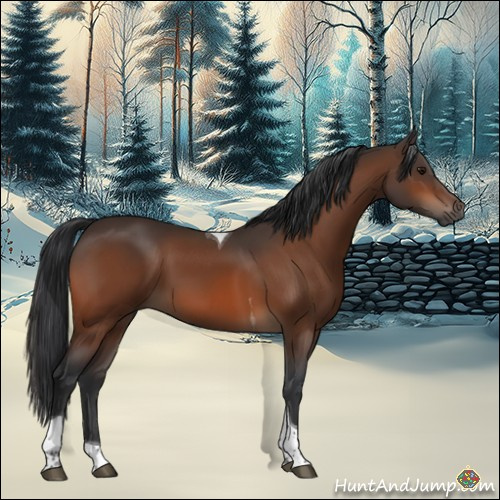 Horse Color:Bay Tobiano Rabicano
