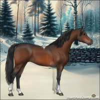 Horse Color:Bay Tobiano Rabicano
