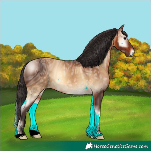 Horse Color:ERROR: UNKNOWN ANOMALY