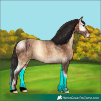 Horse Color:ERROR: UNKNOWN ANOMALY