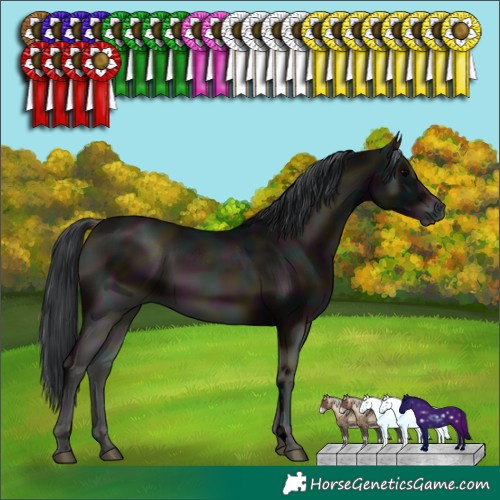 Horse Color:ERROR: UNKNOWN ANOMALY