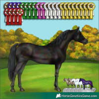 Horse Color:ERROR: UNKNOWN ANOMALY