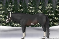 Horse Color:Platinum Brown Splash Frame Rabicano 