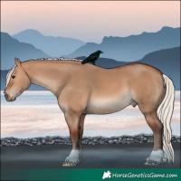 Horse Color:Silver Bay Dun