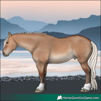Horse Color:Silver Bay Dun 