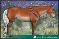 Horse Color:Silver Bay 