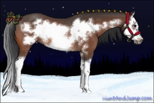 Horse Color:Bay Splash Frame Rabicano