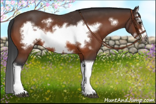 Horse Color:Bay Splash Frame Rabicano