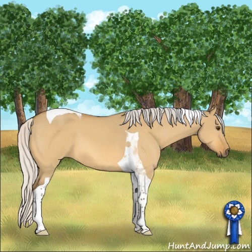 Horse Color:Silver Buckskin Dun Tobiano 