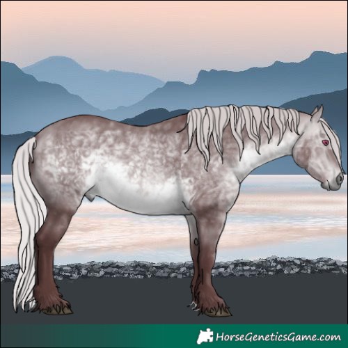 Horse Color:Chocolate Silver Bay Chinchilla Mushroom 